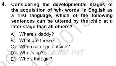 Dil Edinimi 2012 - 2013 Ara Sınavı 4.Soru