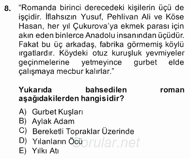 Çağdaş Türk Romanı 2013 - 2014 Ara Sınavı 8.Soru