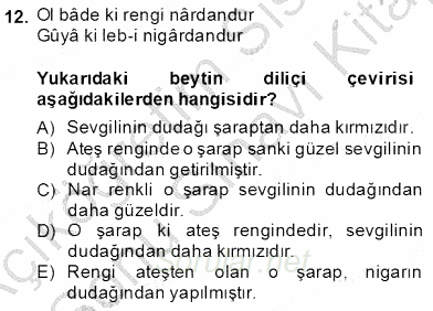 XIX. Yüzyıl Türk Edebiyatı 2013 - 2014 Dönem Sonu Sınavı 12.Soru
