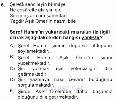 XIX. Yüzyıl Türk Edebiyatı 2013 - 2014 Dönem Sonu Sınavı 6.Soru