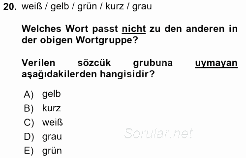 Almanca 1 2016 - 2017 Ara Sınavı 20.Soru