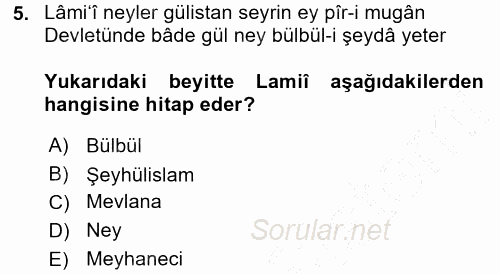XVI. Yüzyıl Türk Edebiyatı 2015 - 2016 Dönem Sonu Sınavı 5.Soru
