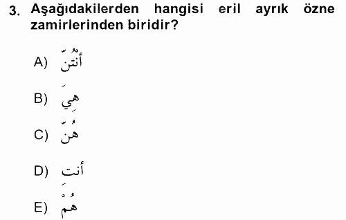 Arapça 1 2017 - 2018 Ara Sınavı 3.Soru