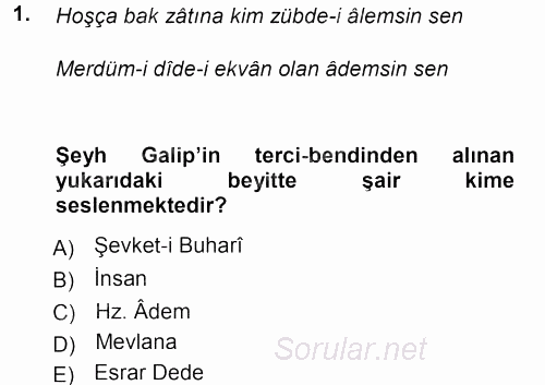 XVIII. Yüzyıl Türk Edebiyatı 2012 - 2013 Dönem Sonu Sınavı 1.Soru