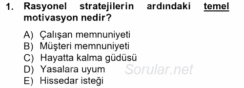 Stratejik Yönetim 1 2012 - 2013 Ara Sınavı 1.Soru