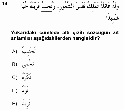 Arapça 2 2015 - 2016 Tek Ders Sınavı 14.Soru