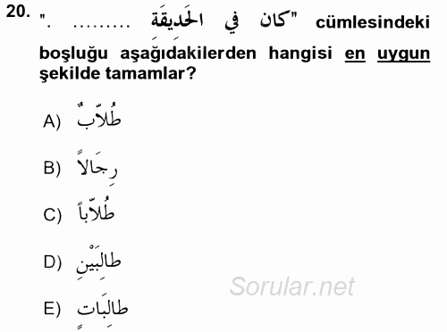 Arapça 2 2015 - 2016 Tek Ders Sınavı 20.Soru