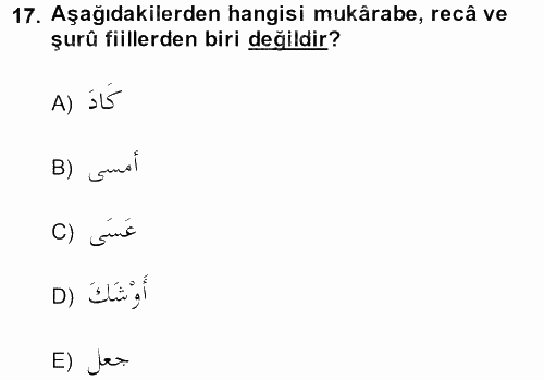 Arapça 4 2013 - 2014 Ara Sınavı 17.Soru