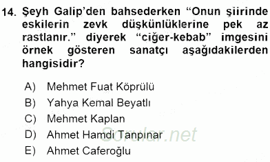 XIX. Yüzyıl Türk Edebiyatı 2015 - 2016 Ara Sınavı 14.Soru