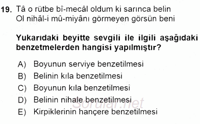 XIX. Yüzyıl Türk Edebiyatı 2015 - 2016 Ara Sınavı 19.Soru