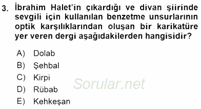 XIX. Yüzyıl Türk Edebiyatı 2015 - 2016 Ara Sınavı 3.Soru