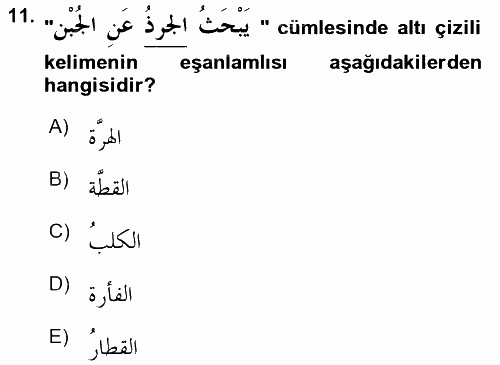 Arapça 3 2017 - 2018 3 Ders Sınavı 11.Soru