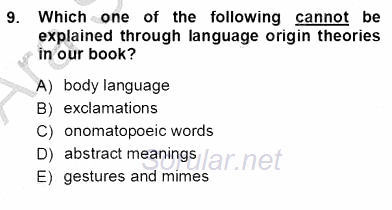 Dilbilim 1 2012 - 2013 Ara Sınavı 9.Soru
