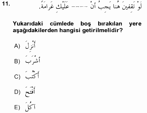 Arapça 2 2017 - 2018 Ara Sınavı 11.Soru