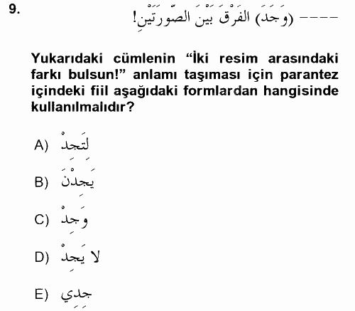 Arapça 2 2017 - 2018 Ara Sınavı 9.Soru