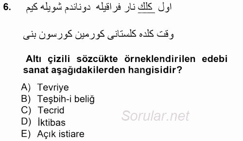 XIX. Yüzyıl Türk Edebiyatı 2014 - 2015 Tek Ders Sınavı 6.Soru