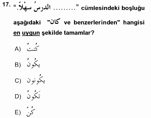 Arapça 2 2016 - 2017 3 Ders Sınavı 17.Soru