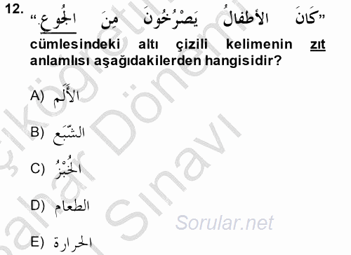 Arapça 4 2014 - 2015 Dönem Sonu Sınavı 12.Soru