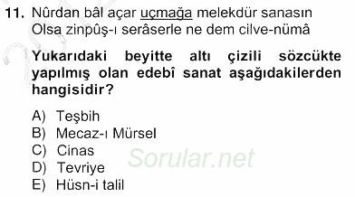 XVII. Yüzyıl Türk Edebiyatı 2012 - 2013 Ara Sınavı 11.Soru