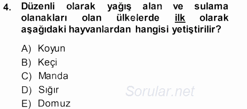 Temel Zootekni 2013 - 2014 Ara Sınavı 4.Soru
