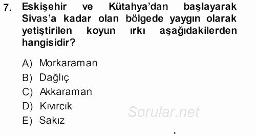 Temel Zootekni 2013 - 2014 Ara Sınavı 7.Soru