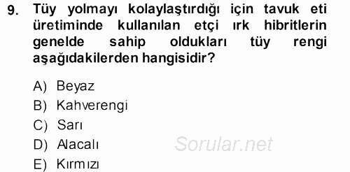 Temel Zootekni 2013 - 2014 Ara Sınavı 9.Soru