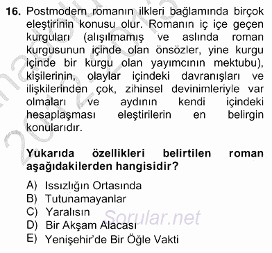 Çağdaş Türk Romanı 2012 - 2013 Ara Sınavı 16.Soru