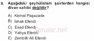 XVII. Yüzyıl Türk Edebiyatı 2013 - 2014 Ara Sınavı 9.Soru