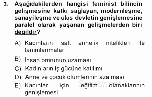 Toplumsal Cinsiyet Çalışmaları 2014 - 2015 Ara Sınavı 3.Soru