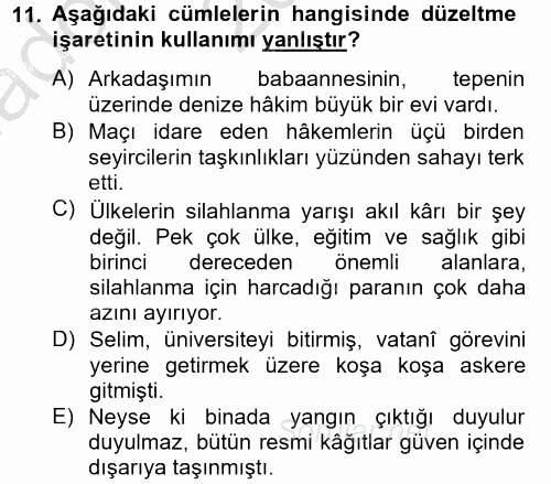 Türk Dili 2 2012 - 2013 Ara Sınavı 11.Soru
