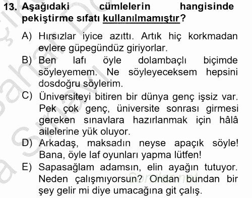 Türk Dili 2 2012 - 2013 Ara Sınavı 13.Soru