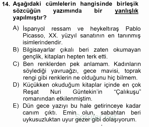Türk Dili 2 2012 - 2013 Ara Sınavı 14.Soru