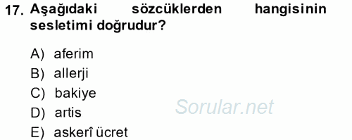 Türk Dili 2 2013 - 2014 Tek Ders Sınavı 17.Soru