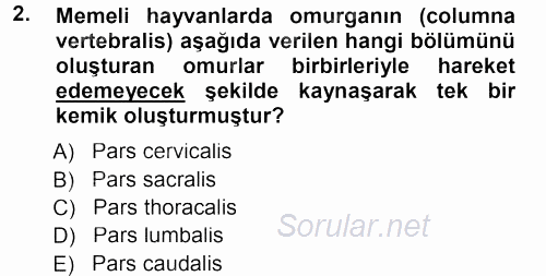 Temel Veteriner Anatomi 2012 - 2013 Dönem Sonu Sınavı 2.Soru