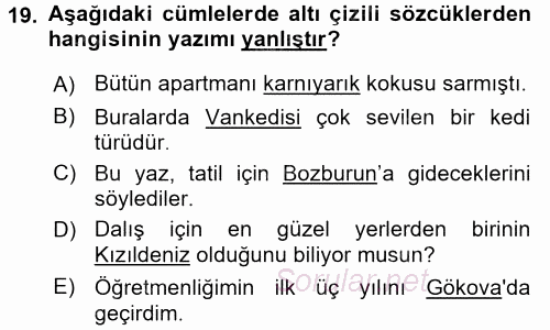 Türk Dili 2 2017 - 2018 Ara Sınavı 19.Soru