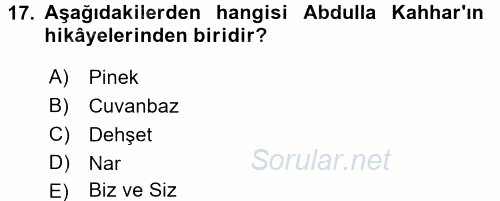 Çağdaş Türk Edebiyatları 2 2016 - 2017 Ara Sınavı 17.Soru