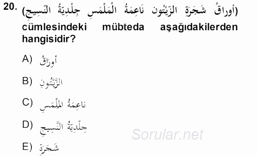 Arapça 1 2013 - 2014 Ara Sınavı 20.Soru