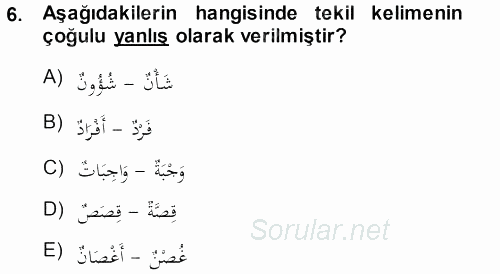 Arapça 1 2013 - 2014 Ara Sınavı 6.Soru
