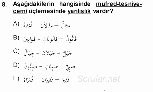 Arapça 1 2013 - 2014 Ara Sınavı 8.Soru