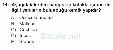 Tıbbi Terminoloji 2012 - 2013 Ara Sınavı 14.Soru