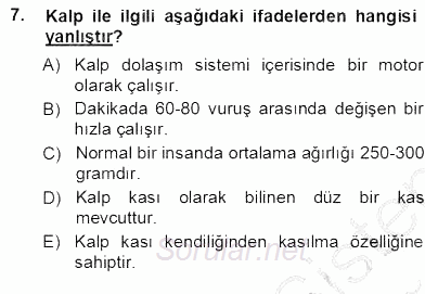 Tıbbi Terminoloji 2012 - 2013 Ara Sınavı 7.Soru