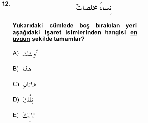 Arapça 2 2014 - 2015 Tek Ders Sınavı 12.Soru