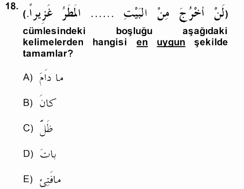 Arapça 2 2014 - 2015 Tek Ders Sınavı 18.Soru