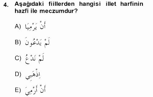 Arapça 2 2014 - 2015 Tek Ders Sınavı 4.Soru
