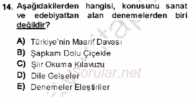 Cumhuriyet Dönemi Türk Nesri 2013 - 2014 Ara Sınavı 14.Soru