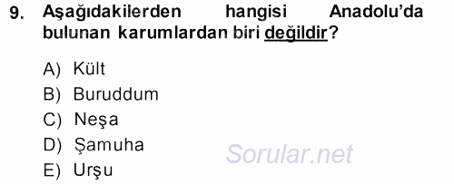 Eski Anadolu Tarihi 2013 - 2014 Ara Sınavı 9.Soru