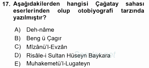XIV-XV. Yüzyıllar Türk Edebiyatı 2017 - 2018 Ara Sınavı 17.Soru
