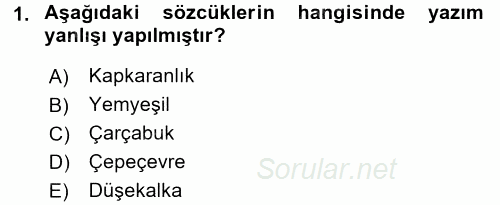 Türk Dili 2 2016 - 2017 Dönem Sonu Sınavı 1.Soru