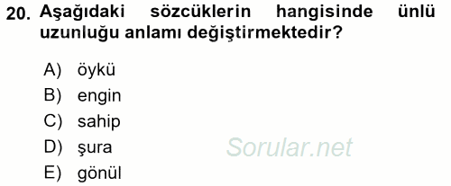 Türk Dili 2 2016 - 2017 Dönem Sonu Sınavı 20.Soru