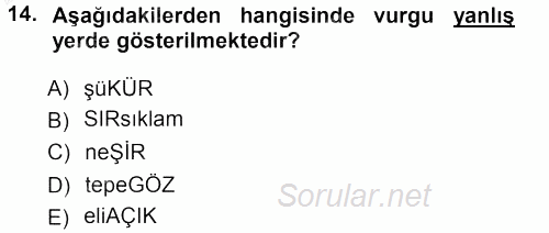 Türkçe Ses Bilgisi 2012 - 2013 Ara Sınavı 14.Soru